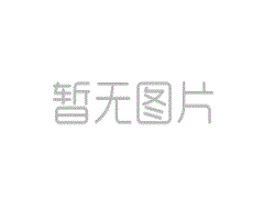 尾板工作原理解析，提升運輸效率的關鍵裝置
